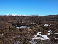 IS, Sudurland, Blaskogabyggd, Tingvellir 12, Saxifraga-Bart Vastenhouw