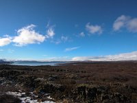 IS, Sudurland, Blaskogabyggd, Tingvellir 13, Saxifraga-Bart Vastenhouw