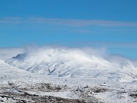 IS, Sudurland, Blaskogabyggd, Tingvellir 14, Saxifraga-Bart Vastenhouw