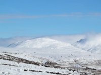 IS, Sudurland, Blaskogabyggd, Tingvellir 15, Saxifraga-Bart Vastenhouw