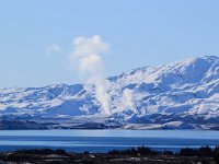 IS, Sudurland, Blaskogabyggd, Tingvellir 17, Saxifraga-Bart Vastenhouw