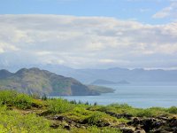 IS, Sudurland, Blaskogabyggd, Tingvellir 2, Saxifraga-Bart Vastenhouw