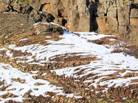 IS, Sudurland, Blaskogabyggd, Tingvellir 21, Saxifraga-Bart Vastenhouw