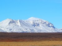 IS, Sudurland, Blaskogabyggd, Tingvellir 22, Saxifraga-Bart Vastenhouw