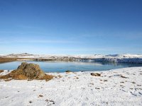 IS, Sudurland, Blaskogabyggd, Tingvellir 23, Saxifraga-Bart Vastenhouw