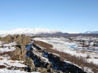 IS, Sudurland, Blaskogabyggd, Tingvellir 5, Saxifraga-Bart Vastenhouw