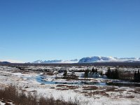 IS, Sudurland, Blaskogabyggd, Tingvellir 8, Saxifraga-Bart Vastenhouw