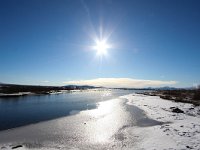 IS, Sudurland, Blaskogabyggd, Tingvellir 9, Saxifraga-Bart Vastenhouw