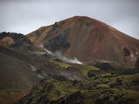 IS, Sudurland, Hella, Landmannalaugar 15, Saxifraga-Mira Hoogenboom