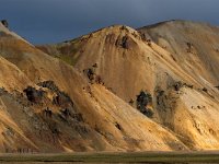 IS, Sudurland, Hella, Landmannalaugar 17, Saxifraga-Mira Hoogenboom