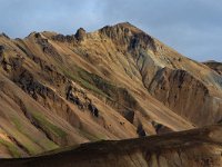 IS, Sudurland, Hella, Landmannalaugar 18, Saxifraga-Mira Hoogenboom