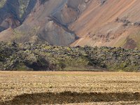 IS, Sudurland, Hella, Landmannalaugar 8, Saxifraga-Dick Hoogenboom