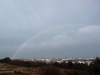 IS, Sudurland, Reykjavíkurborg, Reykjavik 7, Saxifraga-Bart Vastenhouw