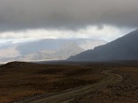 IS, Vesturland, Borgarbyggd, Geitlandsjokull 1, Saxifraga-Mira Hoogenboom