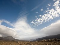 IS, Vesturland, Borgarbyggd, Geitlandsjokull 2, Saxifraga-Mira Hoogenboom