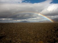 IS, Vesturland, Borgarbyggd, Geitlandsjokull 4, Saxifraga-Mira Hoogenboom