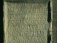 I, Città Metropolitana di Roma Capitale, Roma 17, Saxifraga-Jan van der Straaten
