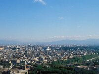 I, Città Metropolitana di Roma Capitale, Roma 26, Saxifraga-Jan van der Straaten