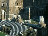 I, Città Metropolitana di Roma Capitale, Roma 7, Saxifraga-Jan van der Straaten