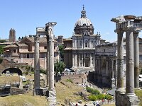 I, Città Metropolitana di Roma Capitale, Roma, Foro Romano in Roma city 1, Saxifraga-Tom Heijnen
