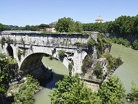 I, Città Metropolitana di Roma Capitale, Roma, Ponte Rotto in Roma city, Saxifraga-Tom Heijnen