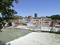I, Città Metropolitana di Roma Capitale, Roma, Tevere in Roma city, Saxifraga-Tom Heijnen