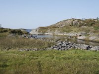 N, More og Romsdal, Averoy, Atlanterhavsvegen 10, Saxifraga-Willem van Kruijsbergen