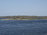 N, More og Romsdal, Averoy, Atlanterhavsvegen 9, Saxifraga-Willem van Kruijsbergen