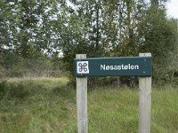 N, More og Romsdal, Fraena, Nosastolen 1, Saxifraga-Willem van Kruijsbergen