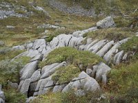 N, More og Romsdal, Fraena, Trollkyrkja 48, Saxifraga-Willem van Kruijsbergen