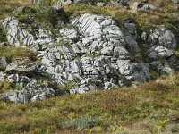N, More og Romsdal, Fraena, Trollkyrkja 68, Saxifraga-Annemiek Bouwman