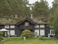 N, More og Romsdal, Molde, Bolsoya 21, Saxifraga-Willem van Kruijsbergen