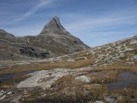 N, More og Romsdal, Rauma, Alnesvatnet 21, Saxifraga-Willem van Kruijsbergen