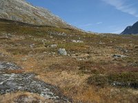 N, More og Romsdal, Rauma, Alnesvatnet 72, Saxifraga-Annemiek Bouwman