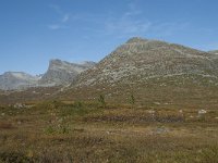 N, More og Romsdal, Rauma, Langfjelldalen 13, Saxifraga-Annemiek Bouwman