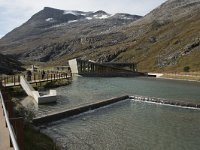 N, More og Romsdal, Rauma, Trollstigen 16, Saxifraga-Willem van Kruijsbergen