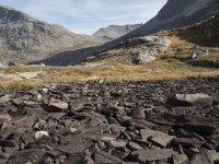 N, More og Romsdal, Rauma, Trollstigen 35, Saxifraga-Willem van Kruijsbergen