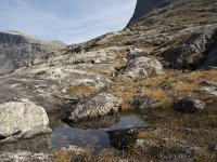 N, More og Romsdal, Rauma, Trollstigen 42, Saxifraga-Willem van Kruijsbergen