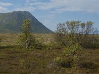 N, Nordland, Andoy, Nordmela 13, Saxifraga-Jan van der Straaten