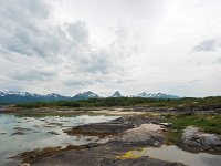 N, Nordland, Hamaroy, Skutvik 15, Saxifraga-Hans Dekker