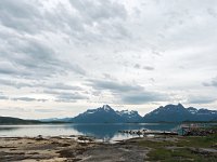 N, Nordland, Hamaroy, Skutvik 16, Saxifraga-Hans Dekker