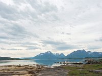 N, Nordland, Hamaroy, Skutvik 2, Saxifraga-Hans Dekker