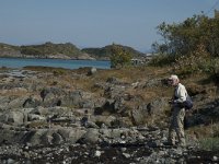 N, Nordland, Lodingen, Offersoy 43, Saxifraga-Marijke Verhagen