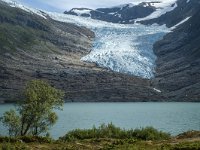 N, Nordland, Meloy, Svartisen 43, Saxifraga-Marijke Verhagen