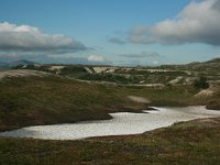 N, Nordland, Saltdal, Tolladalen 6, Saxifraga-Marjan van der Heiden