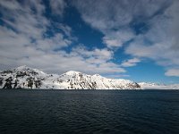 N, Spitsbergen, Kongsfjord 1, Saxifraga-Bart Vastenhouw