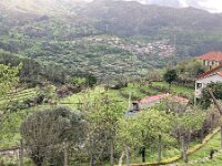 P, Viana do Castelo, Acros de Valdevez, Soajo 12, Saxifraga-Kees Marijnissen