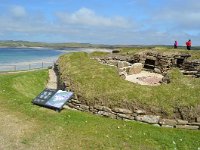 SCO, Orkney, Sandwick, Skara Brae 2, Saxifraga-David Foubister