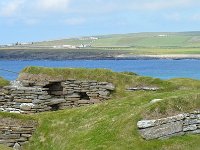 SCO, Orkney, Sandwick, Skara Brae 4, Saxifraga-David Foubister