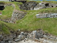 SCO, Orkney, Sandwick, Skara Brae 5, Saxifraga-David Foubister